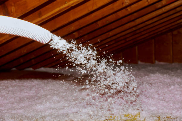Best Residential Insulation in Navarre Beach, FL